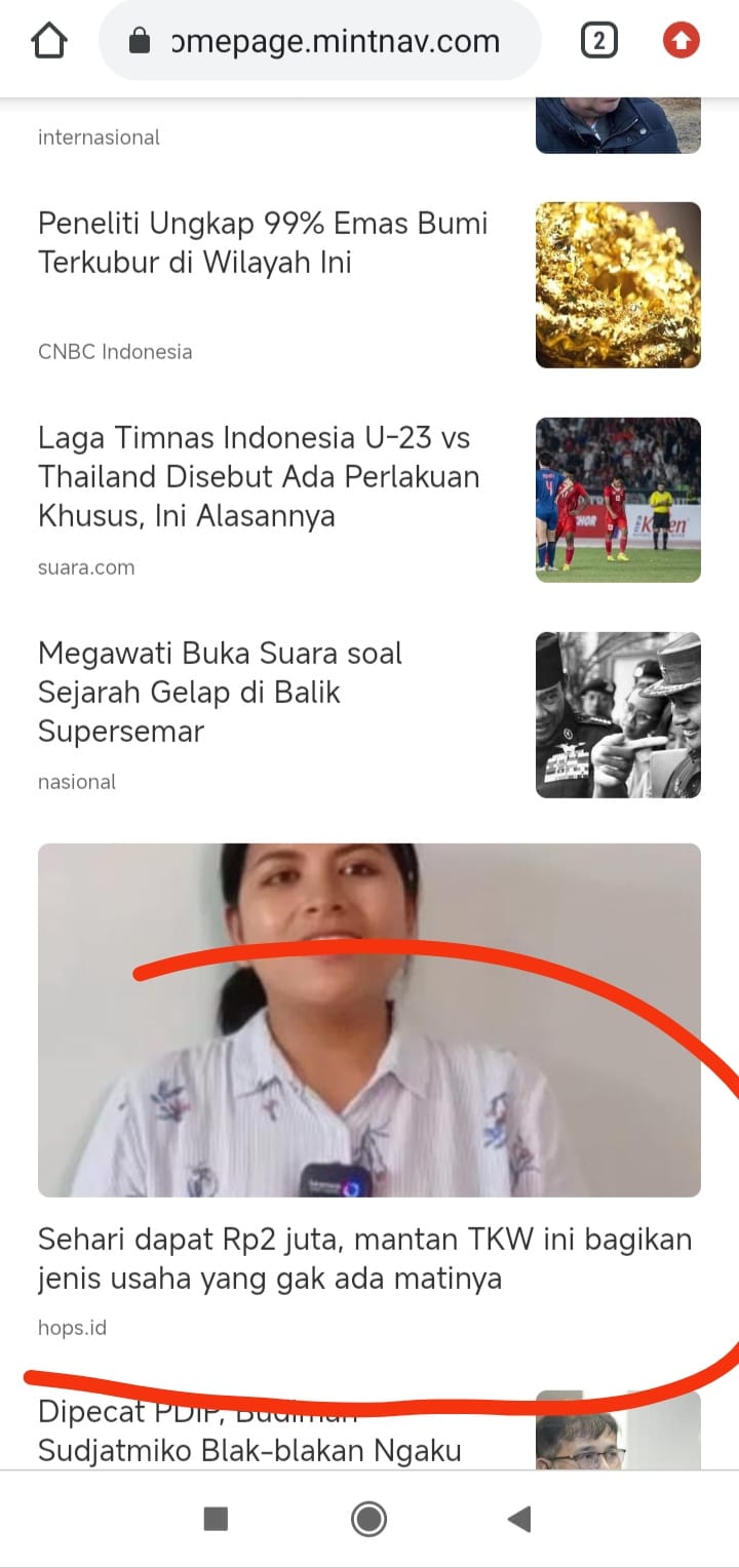 Apa Layanan yang Kami Jual? 2 Tulisan dari ahli penulis SEO: Tiara Sunflower lolos Google Discover