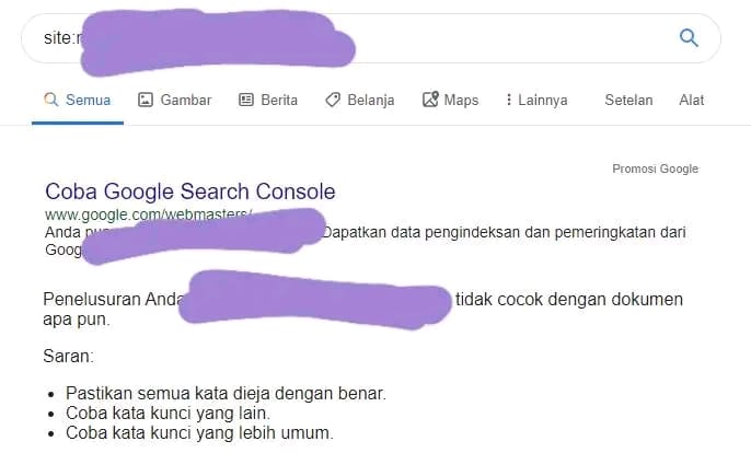 Contoh jika situs Anda menghilang dari Google secara tiba-tiba