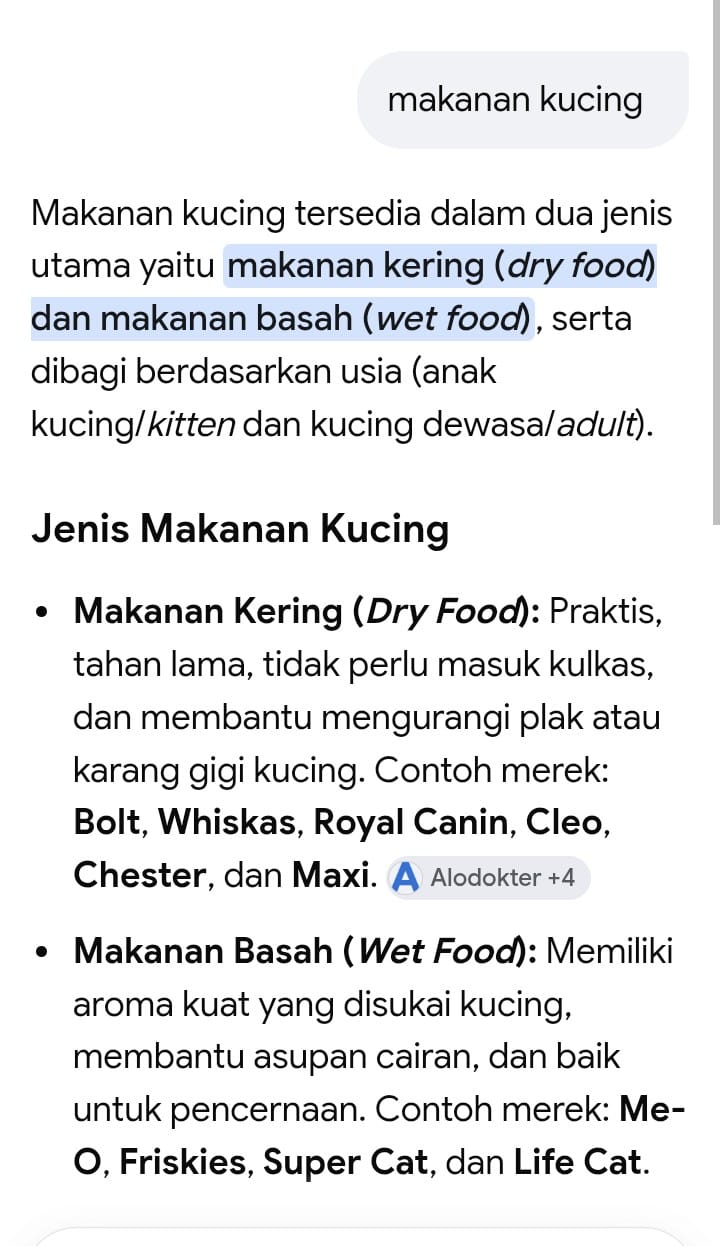 Saya mencoba menggunakan alat AI Google Ikhtisar, Apakah ini nyata?